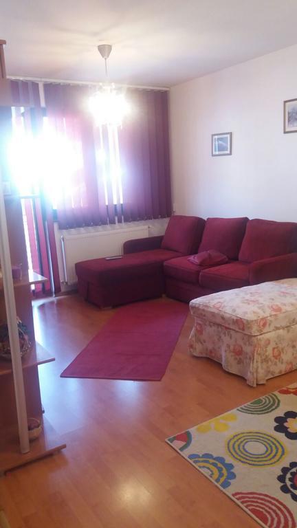 Apartament Colina Florilor Sinaia