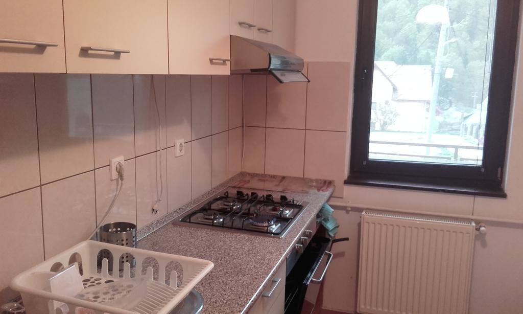 Apartament Apartament Colina Florilor Sinaia