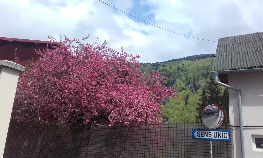 Apartament Colina Florilor